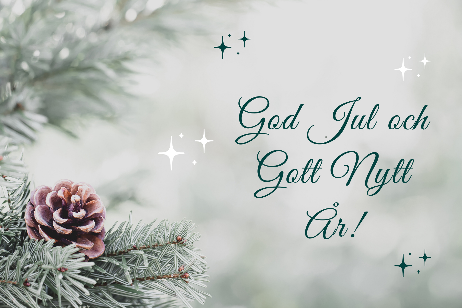 God jul och gott nytt år! (Nyhetsbrev December 2023)